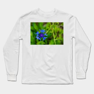 Blue cornflower herb flower head isolated on natural green background Long Sleeve T-Shirt